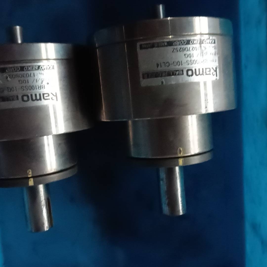 [议价]BR100SS-10G-CL14   �ձ����� kamo ��