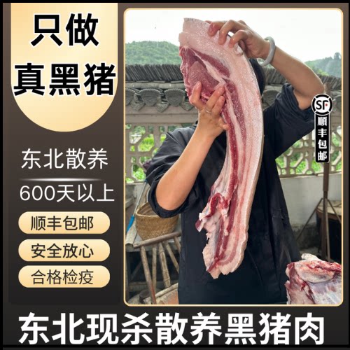 东北散养黑猪肉365天以上