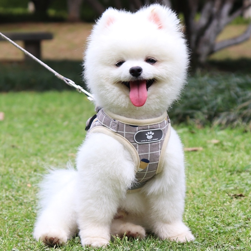 狗引狗小型美观犬背心绳遛狗小狗背心犬绳小鹿式狗牵引绳贵宾绳子