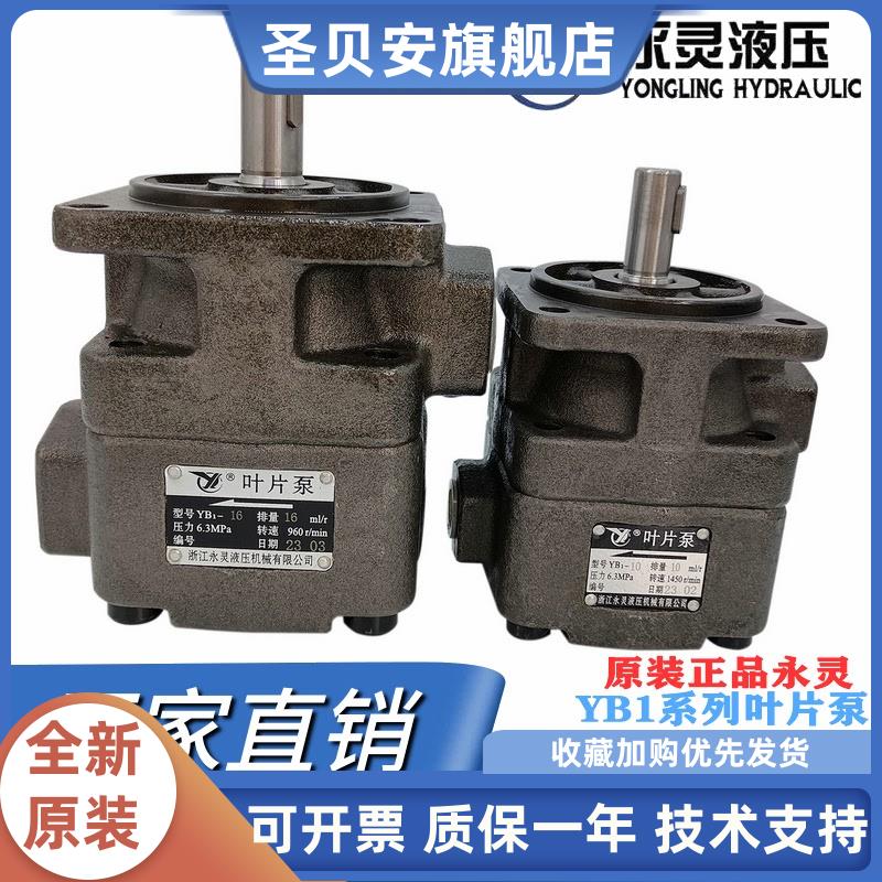 仙居YCL永灵YB1-25/6.3/10