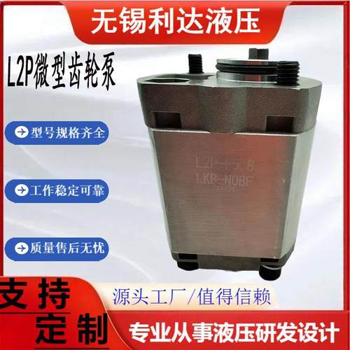 齿轮泵L2P-F2.1 L2P-F2.7 L2P-F3.2 L2P-F1.6 L2P-F3.2-LKB-NOBF