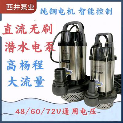 西井泵业无刷直流潜水泵高扬程48V水泵60V72伏电动车抽水
