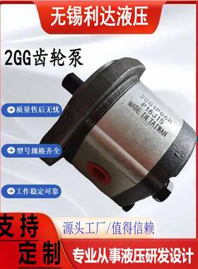 HONOR钰盟齿轮泵2GG1P04R/05/06/07/08/09/11/14/16/18/20/22R RA