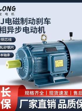 电机YEJ2100L2-4 3KW/YEJ2-112M-4 4KW刹车电机电磁制动三相电机