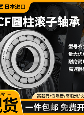 日本进口IVZ圆柱滚子轴承 NCF2202 2203 2204 2205 2206 2207 V