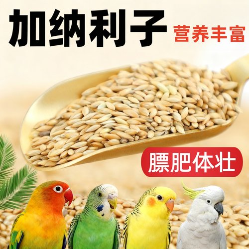 鹦鹉鸟粮饲料鸟食加纳利子