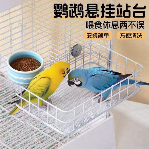 鹦鹉睡床铁艺吊床平台牡丹玄凤小太阳睡窝鸟窝四季睡觉休息站台