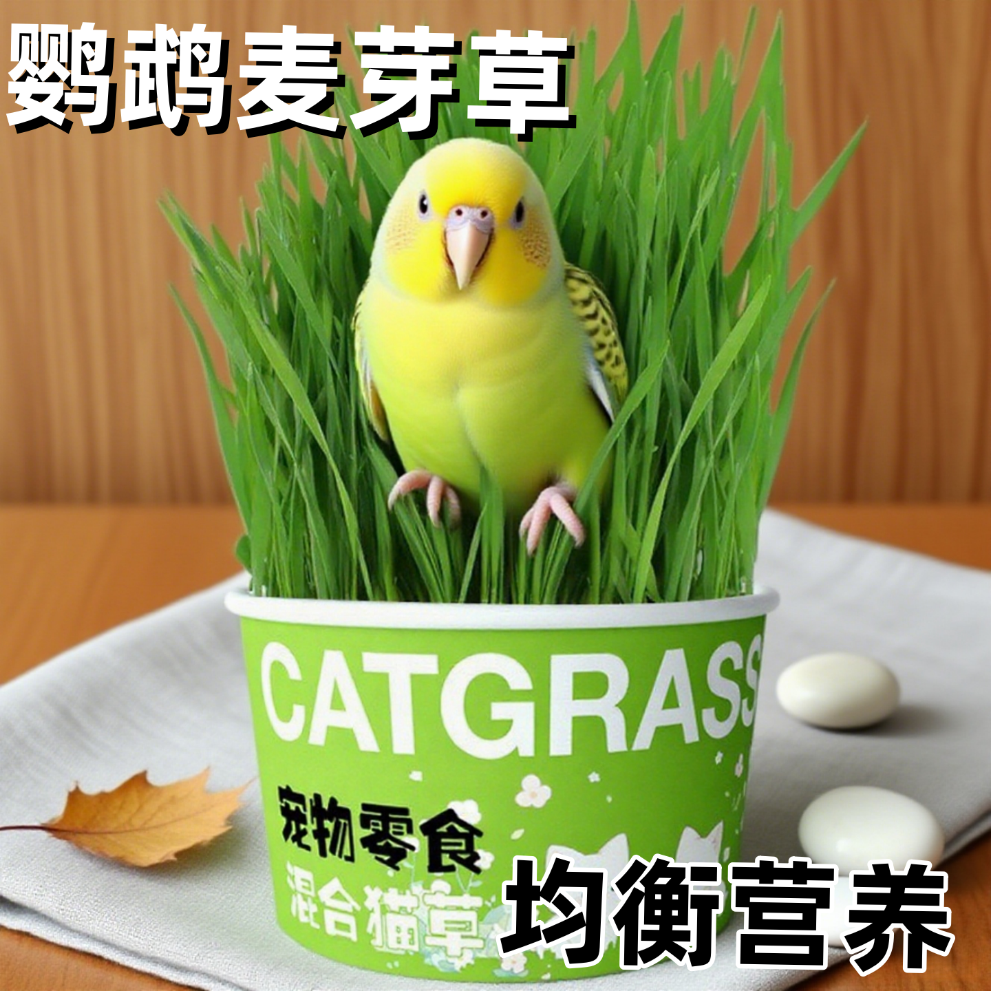 鹦鹉天然饲料食用麦芽草小鸟玩具虎皮玄凤啃咬鸟食鸟草逗鸟神器,宠物/宠物食品及用品,鸟玩具,淘宝优惠券,粉丝福利购,淘宝优惠卷