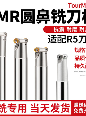 EMR圆鼻铣刀杆抗震CNC数控刀具加硬1135铣刀杆BAP300R 高精抗震型