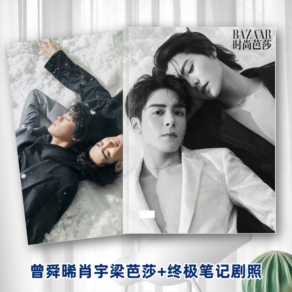曾舜晞肖宇梁时尚芭莎费加罗写真图集相册终极笔记剧照片明星画册