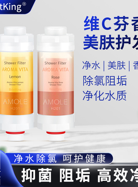 韩国进口H201花洒过滤器香氛家用除氯净水美肤洗澡沐浴香薰护发