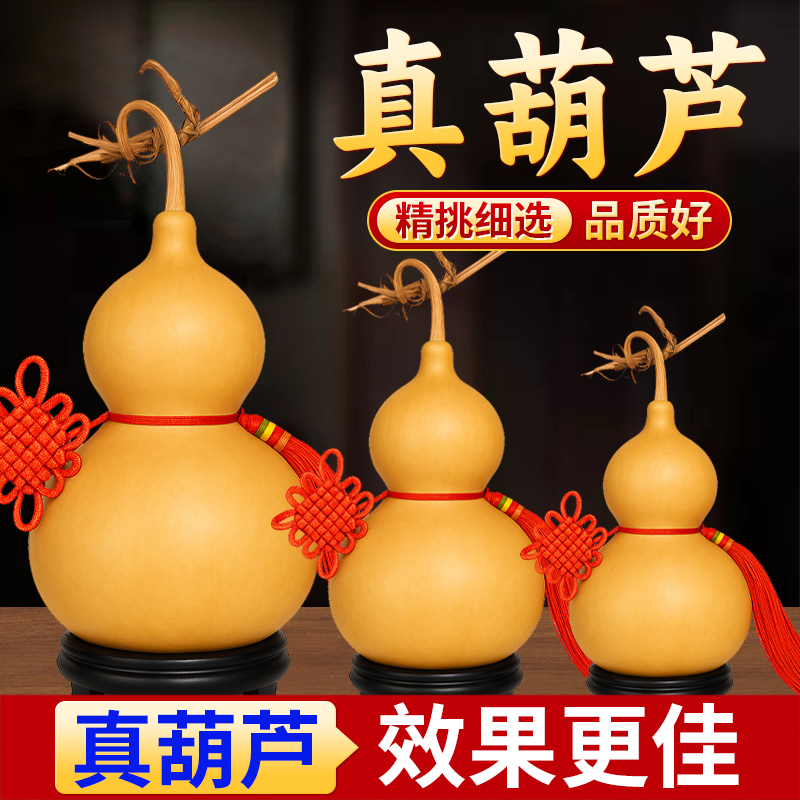 天然葫芦挂件真胡芦开口木葫芦摆件镇宅招财玄关客厅文玩手把件大
