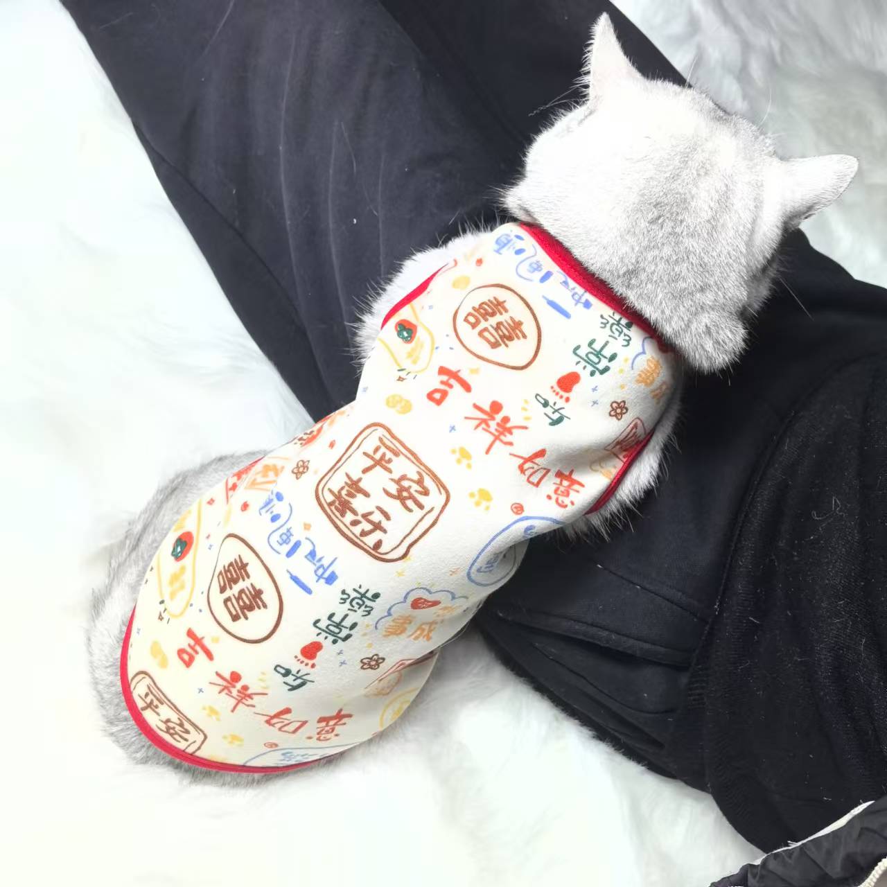猫咪宠物狗狗衣服背心春秋薄款猫猫咪博美比熊小型幼犬泰迪春夏天