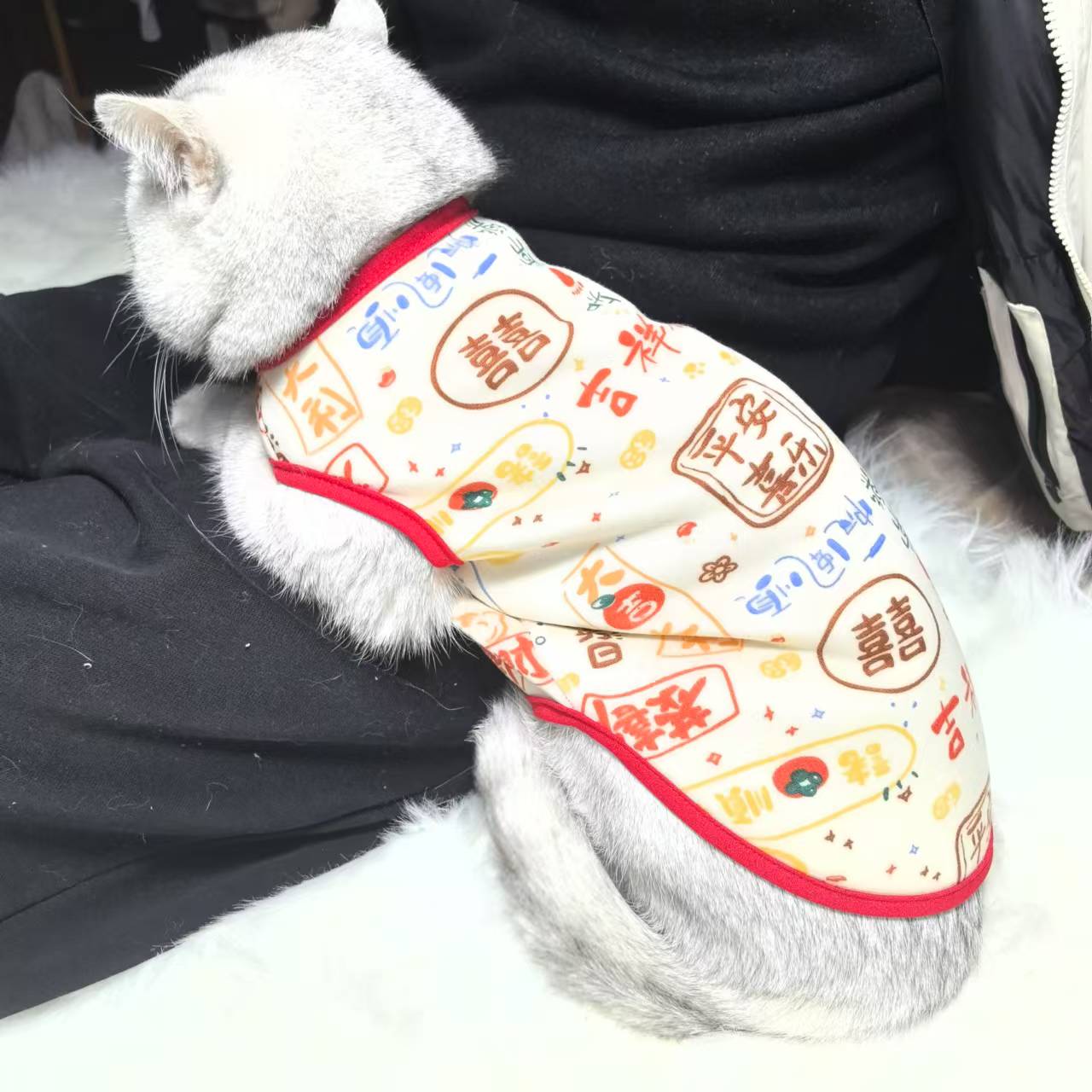 夏装宠物猫咪衣服夏季英短德文金渐层背心防掉毛春秋宠物小猫衣服