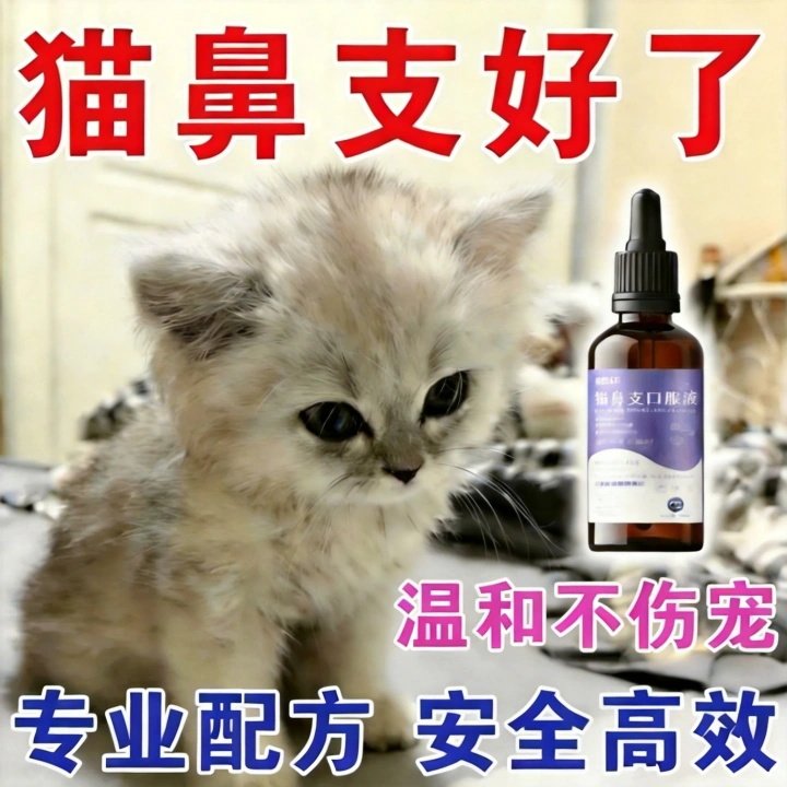 猫咪眼睛泪痕精神不佳提升免疫用