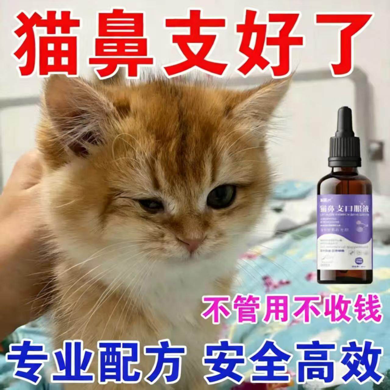 猫咪鼻特效宠物猫咪眼睛泪痕眼屎流鼻子涕精神不佳支提升免疫专用