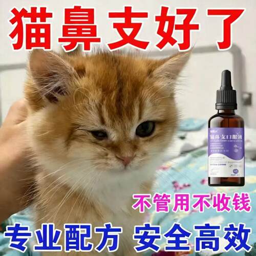 猫咪眼睛泪痕精神不佳提升免疫用