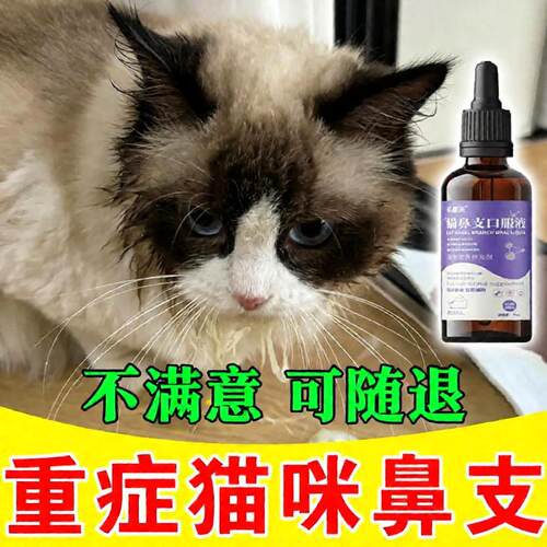 猫咪眼睛泪痕精神不佳提升免疫用