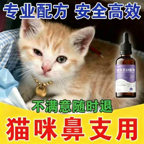 猫咪眼睛泪痕精神不佳提升免疫用