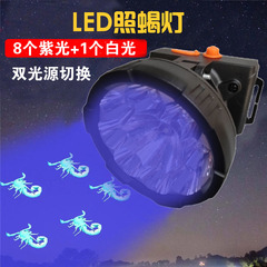 锂电池充电头灯照蝎子灯强光紫光手电筒 蝎灯LED紫光灯验钞灯两用