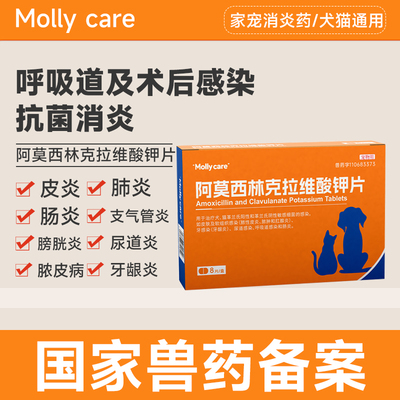 支气管炎阿莫西林克拉维酸钾片尿路感染肺炎皮炎消炎药呼吸道