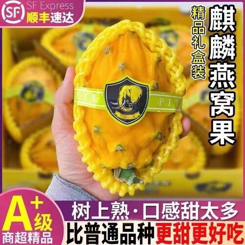 燕窝果麒麟果新鲜现摘应季水果