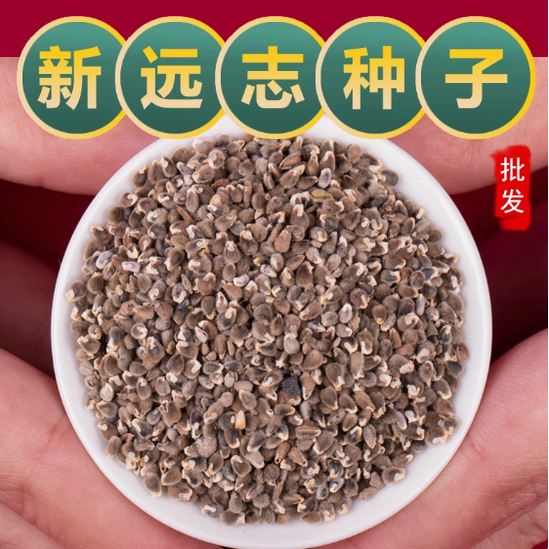 中药材远志种子远志籽药材种子种植简单易活四季播种耐寒耐旱易管