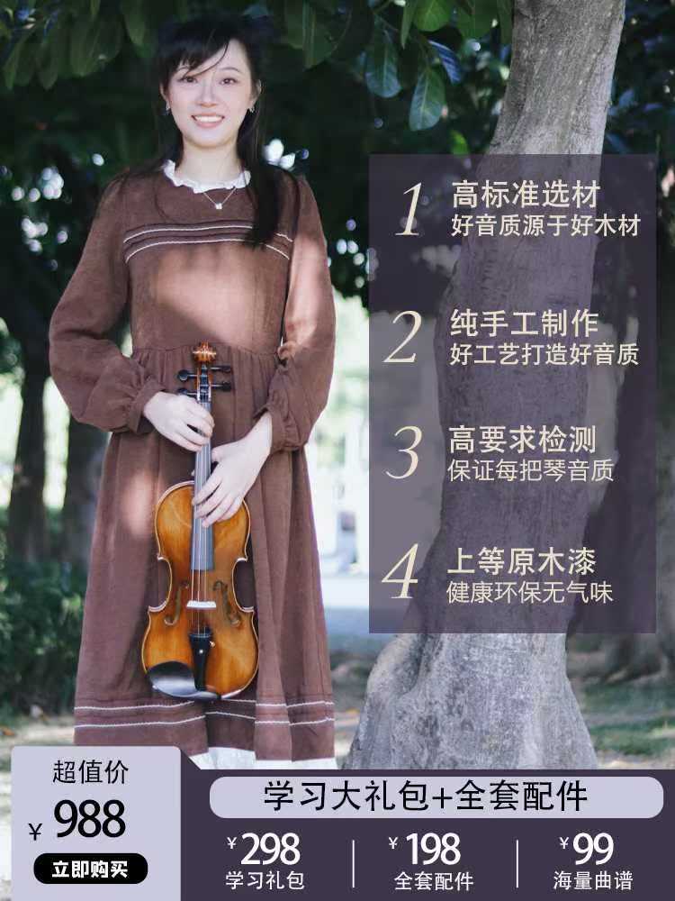 圣维斯SW100手工实木小提琴初学者儿童入门专业级考级演奏成人