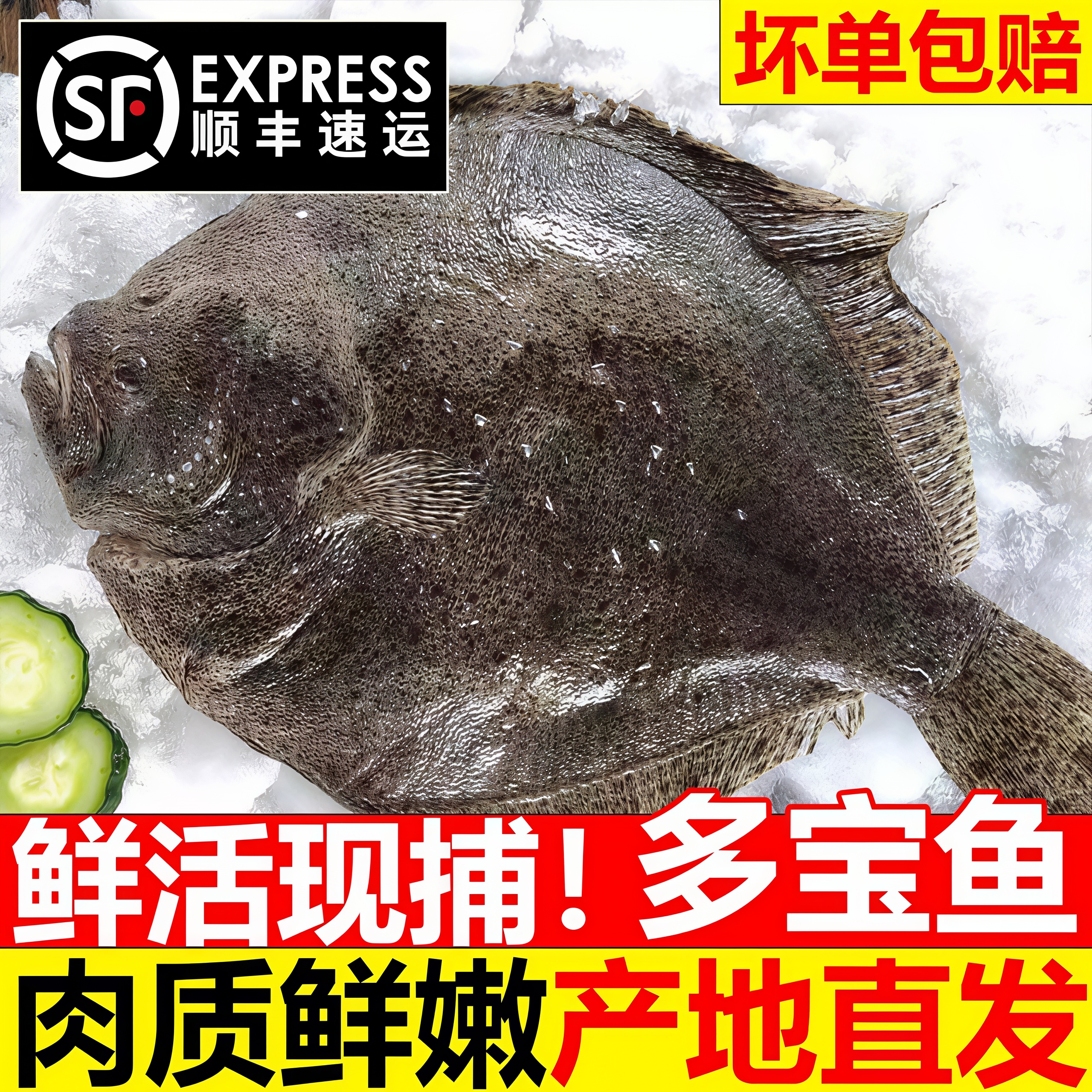 多宝鱼深海鲜冻超大比目鱼顺丰