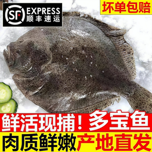 多宝鱼超大比目鱼鲜活冷冻八宝鱼偏口鱼鲽鱼鸦片鱼深海鱼水产海鲜