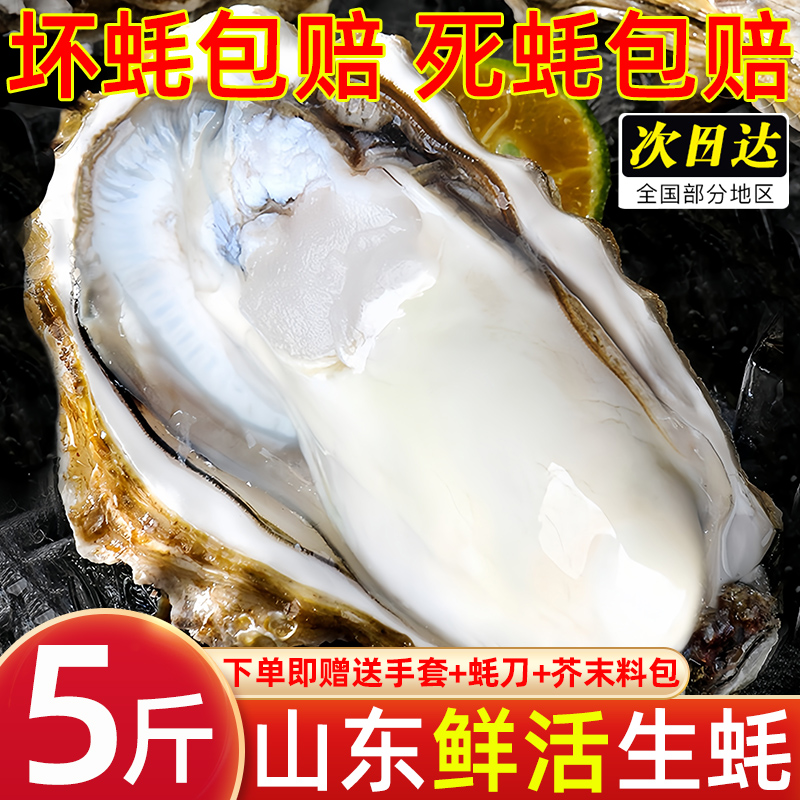 乳山生蚝鲜活5斤新鲜海蛎子