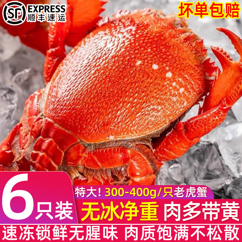 老虎蟹鲜活冷冻冰鲜贵妃蟹虎头蟹海捕大老虎蟹整箱商用批发顺丰