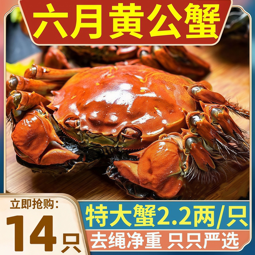 盘锦河蟹鲜活蟹溜达蟹去绳礼盒