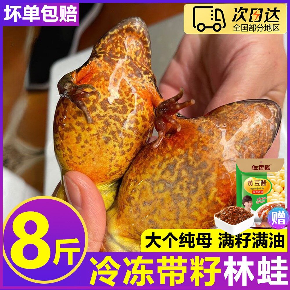 2025年新货东北林蛙冷冻母豹子