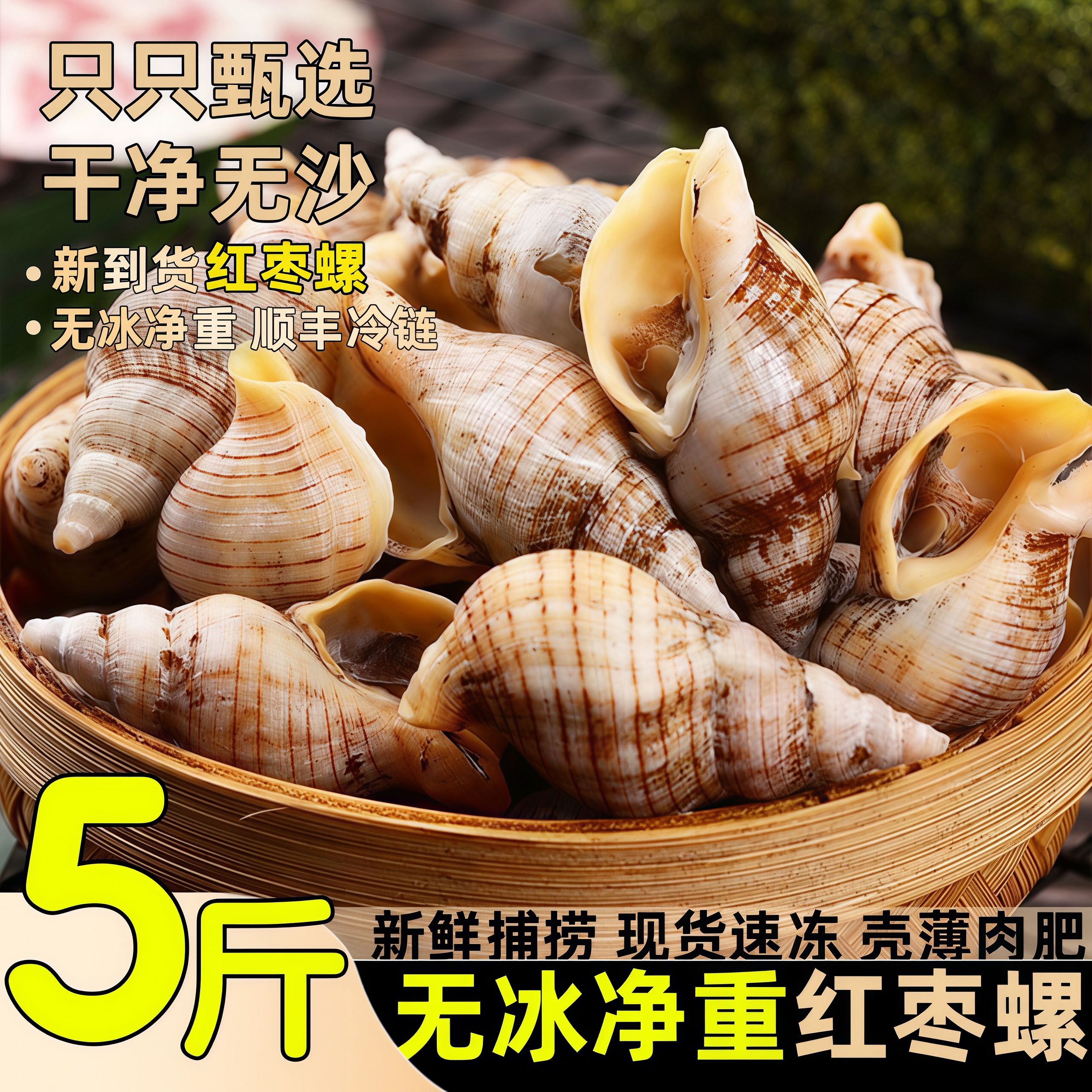 贝贝螺红枣螺白玉螺花螺小海螺丝海瓜子新鲜贝类酒店商用海鲜水产