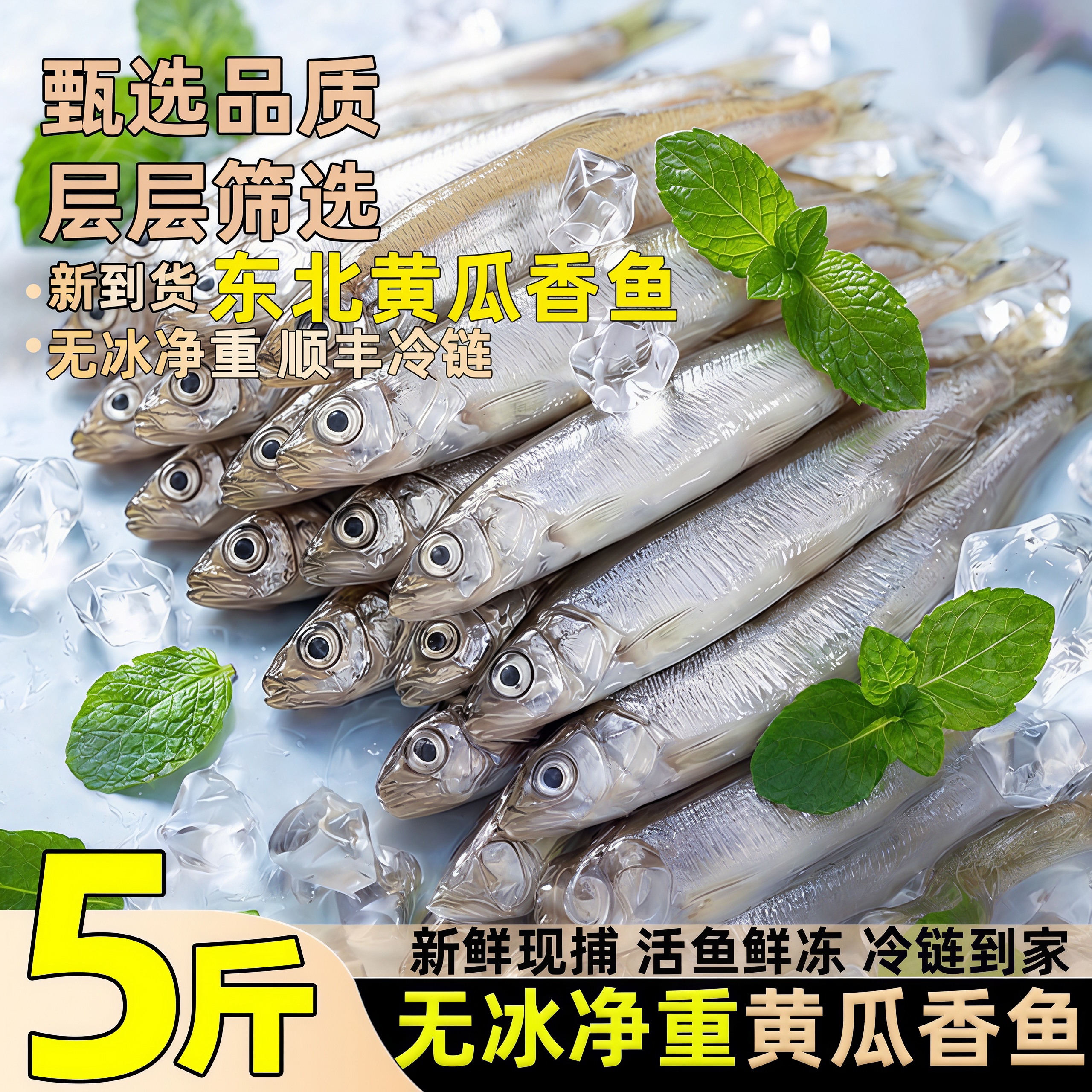 黄瓜香鱼新鲜速冻锁鲜正宗东北深海冷水鱼小杂鱼春生子秋生鱼顺丰