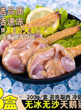 天鹅蛋肉海鲜蛤蜊紫石房贝去壳纯肉当季现捕贝类水产烧烤食材顺丰