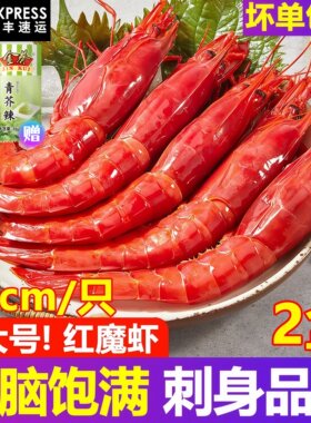 超大红魔虾鲜活刺身甜虾