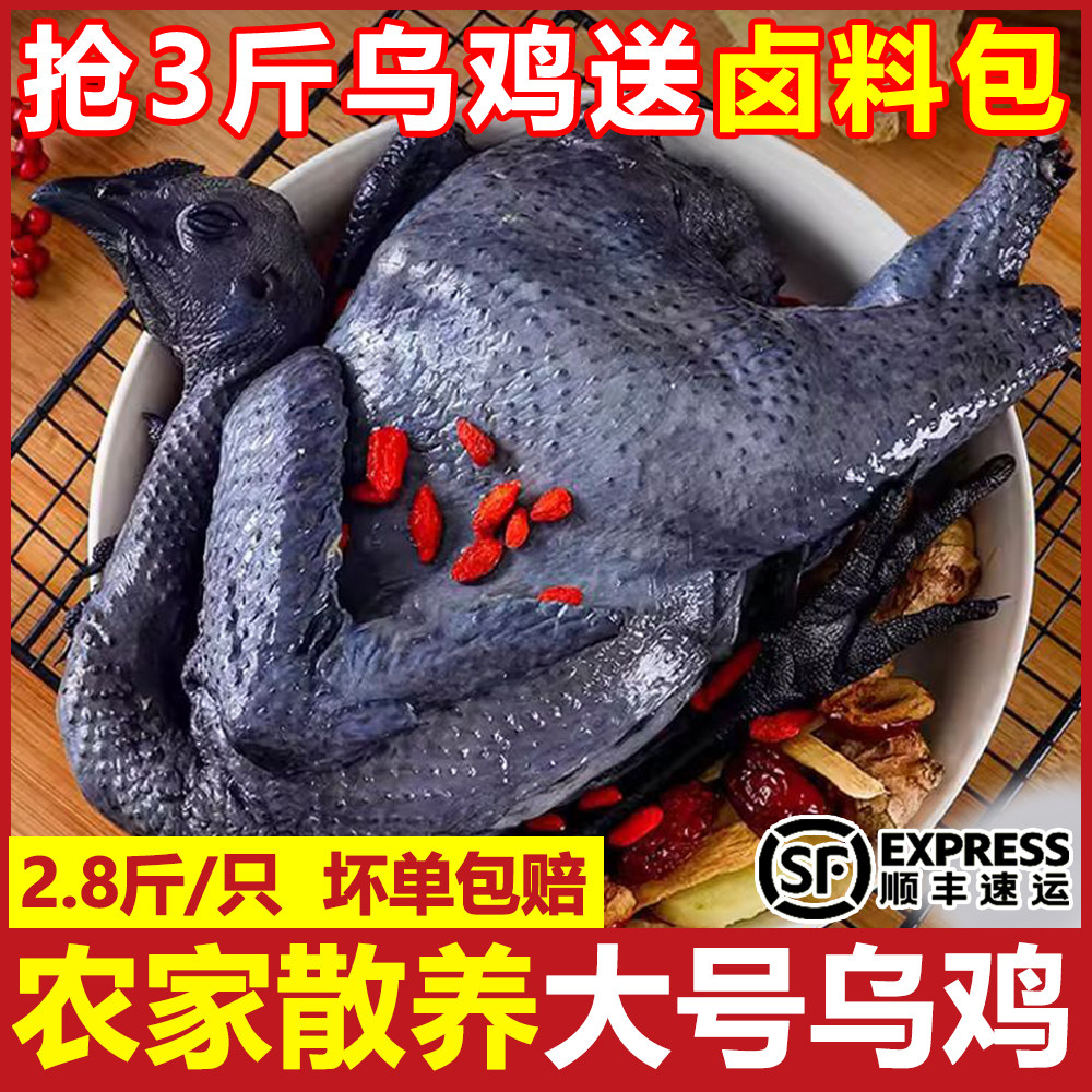 散养白凤乌鸡新鲜鸡肉活鸡现杀乌骨鸡走地鸡滋补鸡胸肉一整箱顺丰