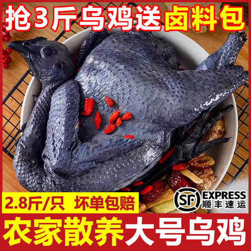 散养白凤乌鸡新鲜鸡肉活鸡现杀乌骨鸡走地鸡滋补鸡胸肉一整箱顺丰
