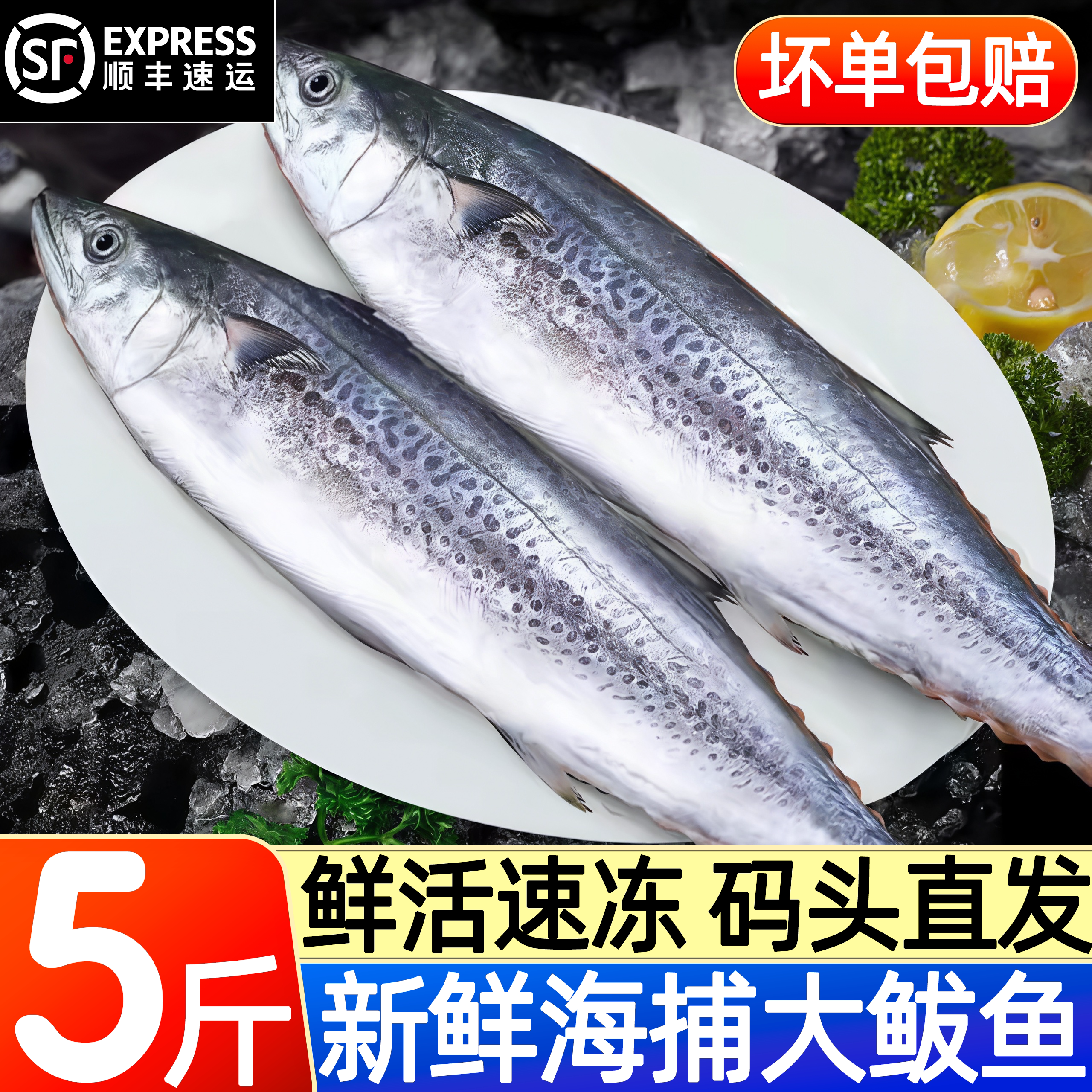 鲅鱼新鲜整条冷冻马鲛鱼顺丰批发图片