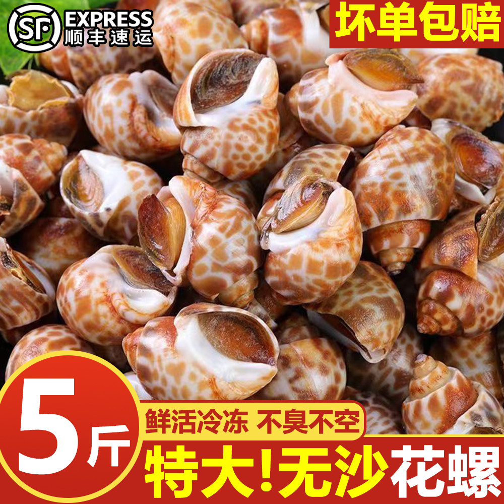 花螺新鲜冷冻野生小海螺速冻小香螺鲜冻水产特大号螺贝类海鲜顺丰