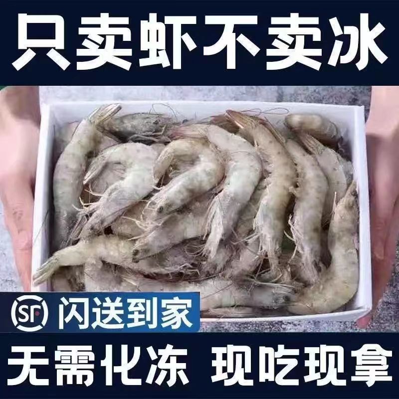 超大海虾鲜活盐冻虾2030规格大虾