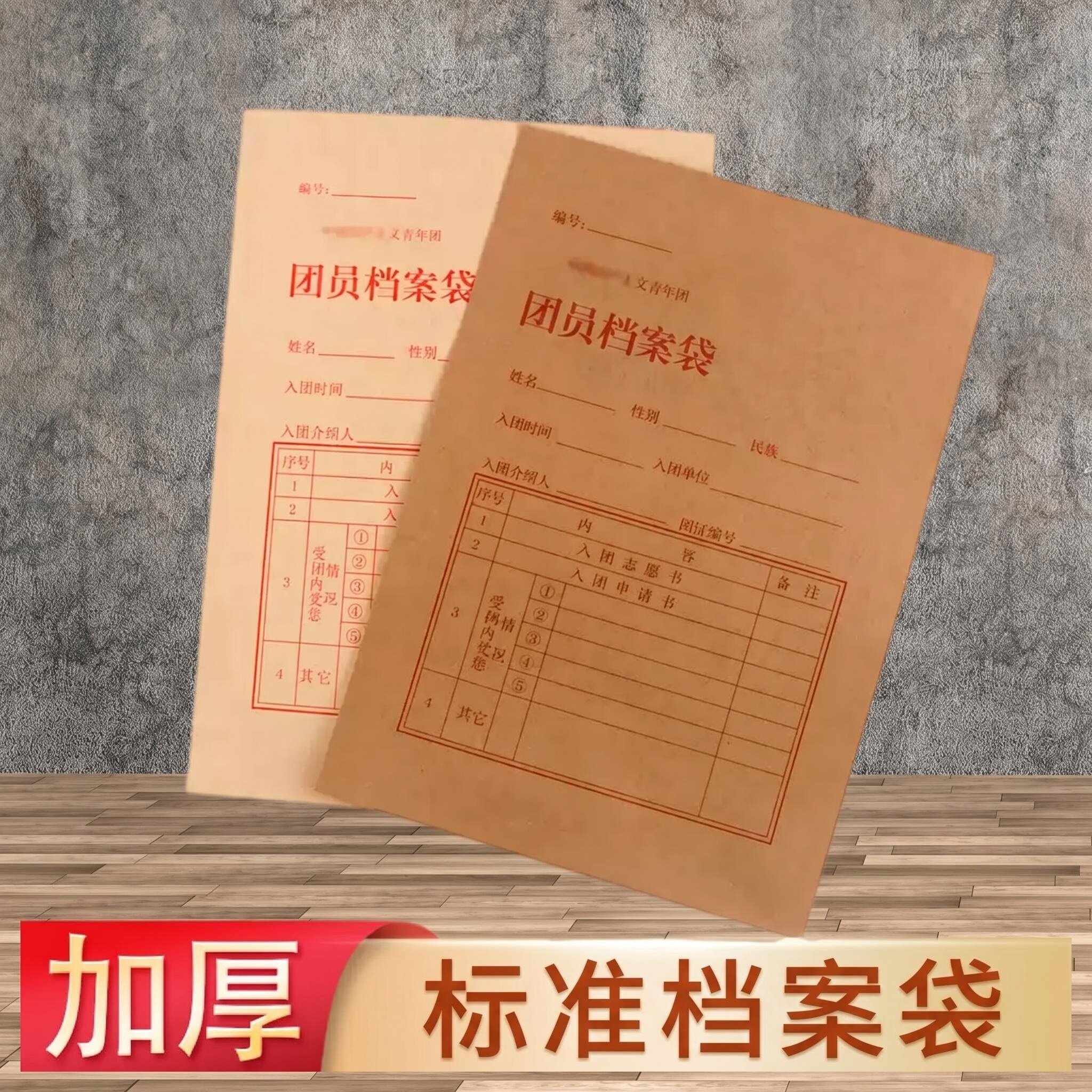 团员档案袋牛皮纸入团用品加厚入文创/手作/文化用品