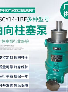 厂家供应16/10Scy14-1BF轴向柱塞泵高压油泵 虎力柱塞泵高压油泵