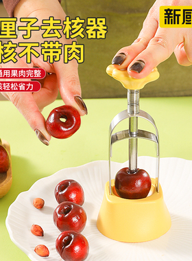 新厨仕车厘子去核器家用水果红枣去核神器大小通用取芯樱桃去核器