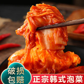 正宗朝鲜延边族辣白菜500g腌制泡菜农家酸菜即食韩式 免切辣白菜