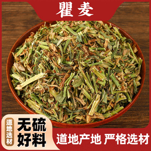 瞿麦中药材500g克 野生瞿麦正品新货特级瞿麦茶瞿麦药材巨麦瞿麦