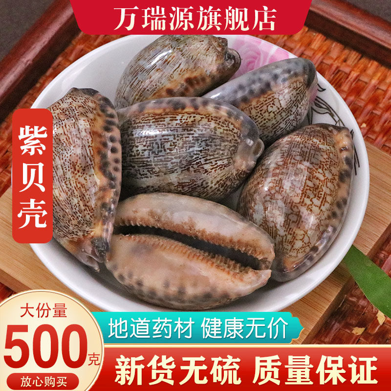 紫贝齿紫贝壳紫贝子文贝砑螺南蛇牙齿狗支螺海巴中药材500g可打粉