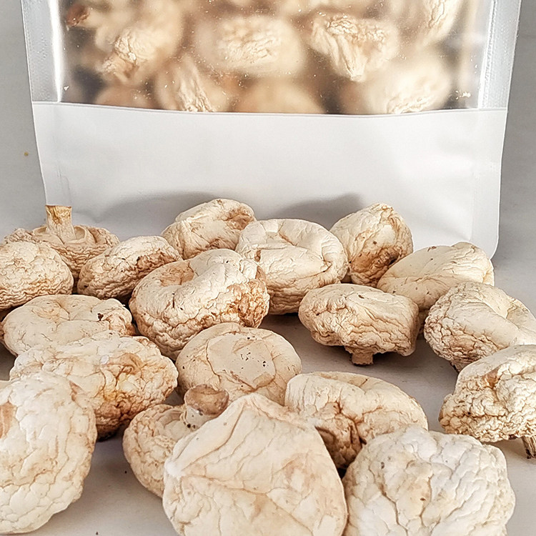 福子恒口蘑人工筛选干货白蘑煲汤菌菇山珍食材节日送礼张家口特产